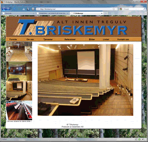 tbriskemyr.no
